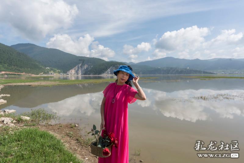 机智问答网页-人类为什么不能利用海水呢?高效解答